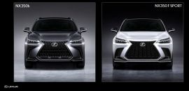 So Sánh 2 phiên bản Lexus NX: Hybrid và F-Sport 2024